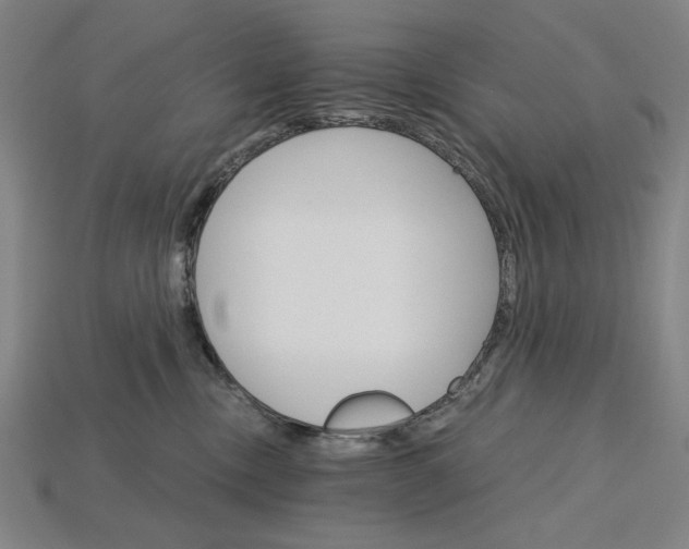 X0000115270378200911131813