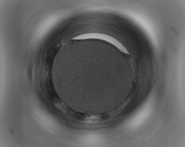 X0000115270382200911131813