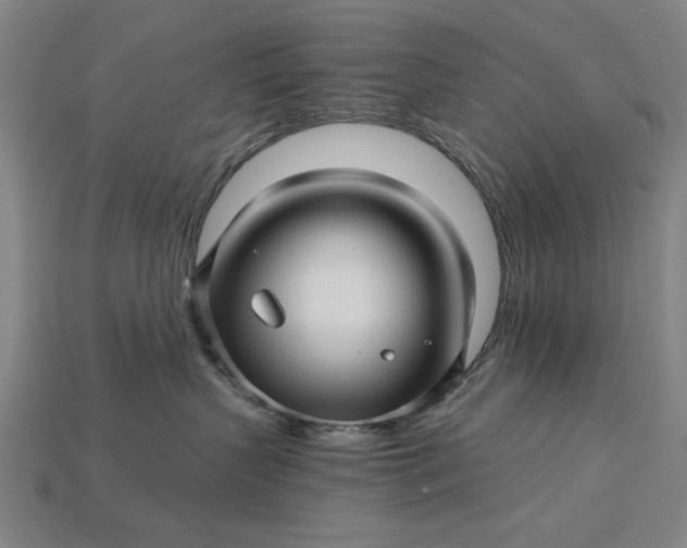 X0000115270383200911131813