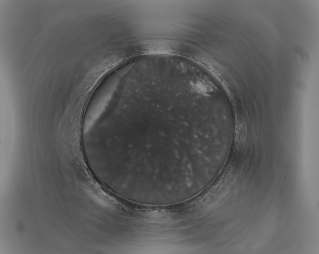 X0000115270385200911131812