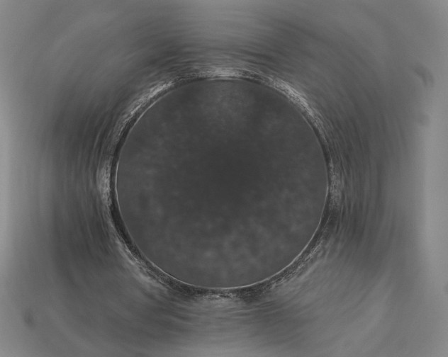 X0000115270386200911131812