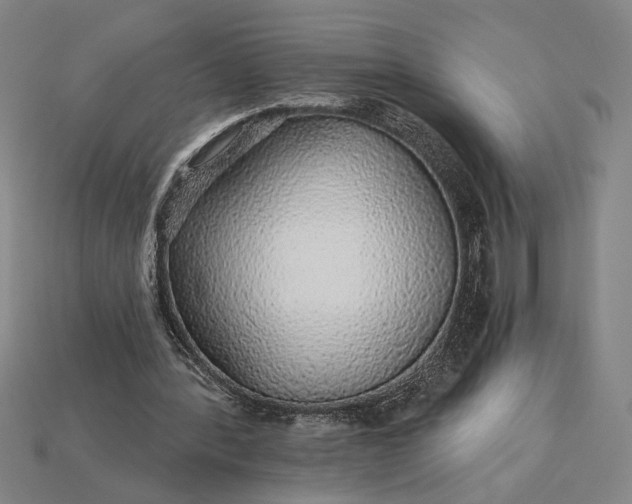 X0000115270388200911131812