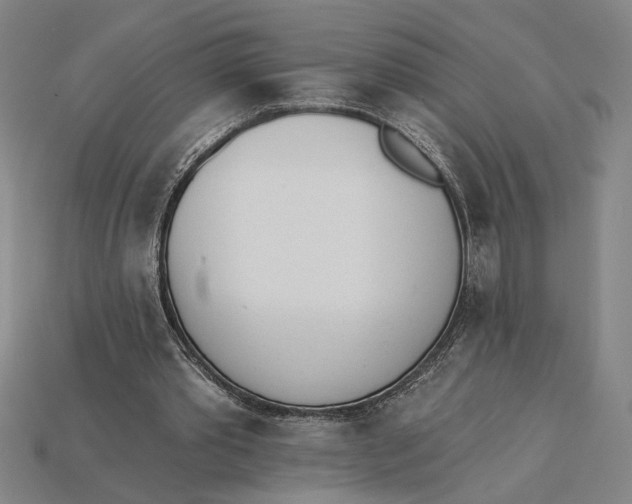 X0000115270389200911131812