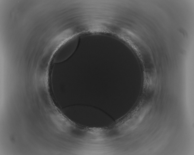 X0000115270391200911131812