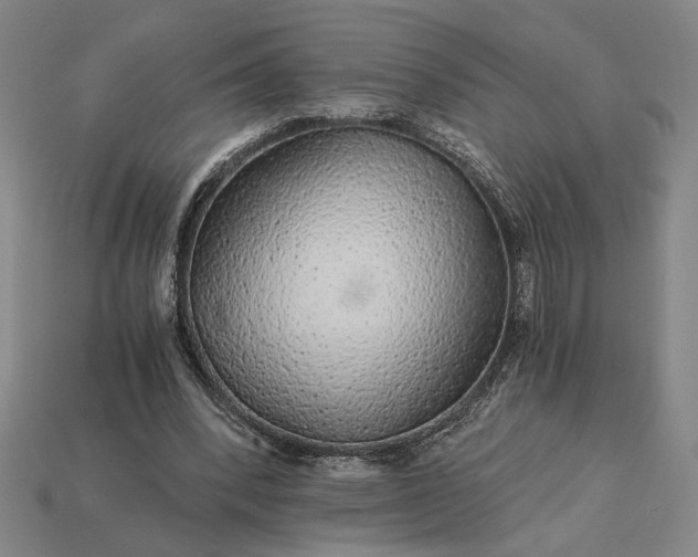 X0000115270392200911131812