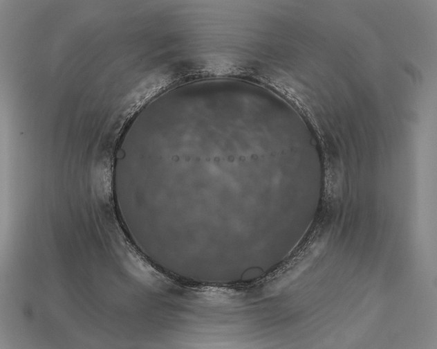 X0000115270393200911131812