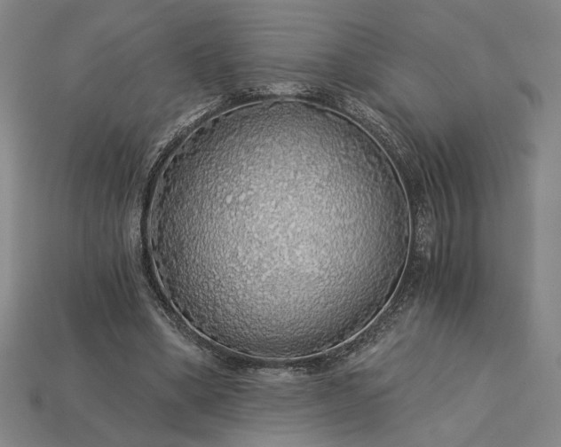 X0000115270394200911131812