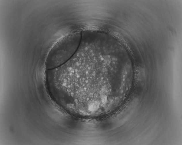 X0000115270395200911131812