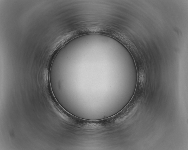 X0000115270397200911131812