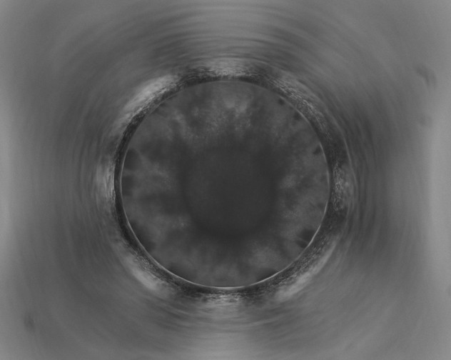X0000115270398200911131812
