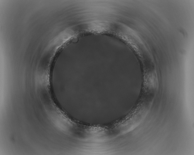 X0000115270399200911131812