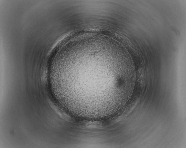 X0000115270400200911131812