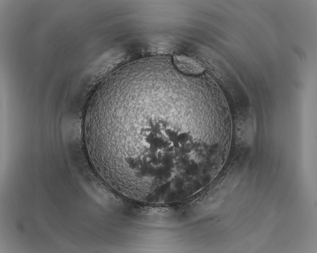 X0000115270401200911131812