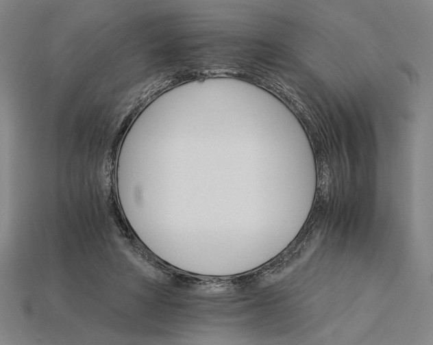 X0000115270402200911131812