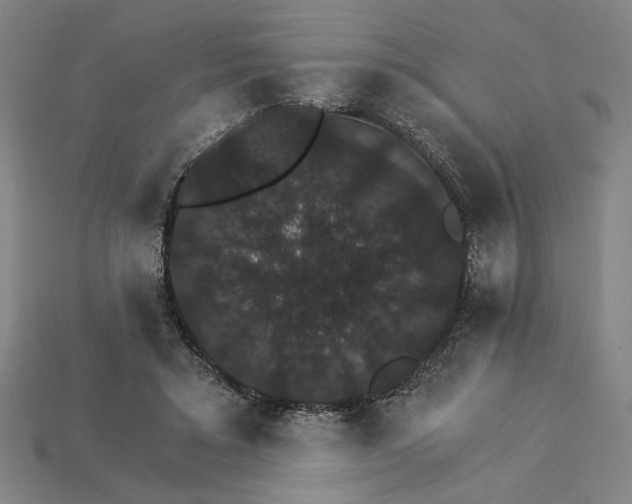 X0000115270403200911131812