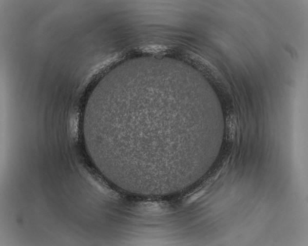 X0000115270404200911131812