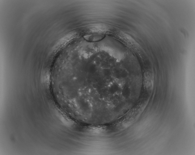 X0000115270405200911131812