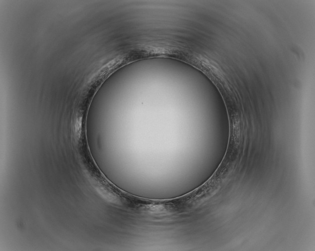 X0000115270406200911131812