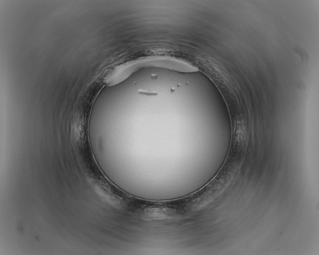 X0000115270408200911131812