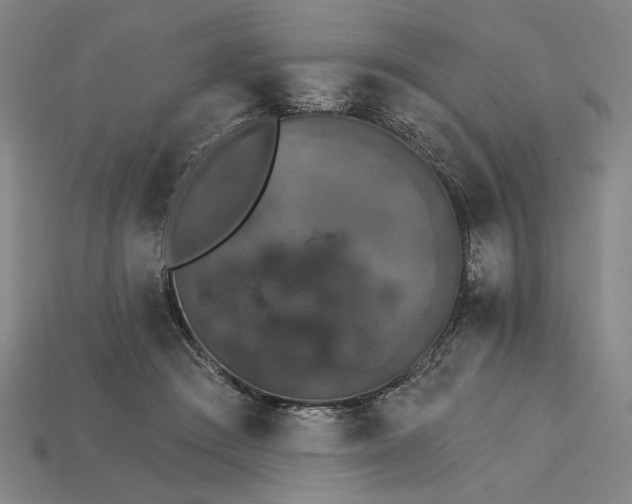 X0000115270409200911131812