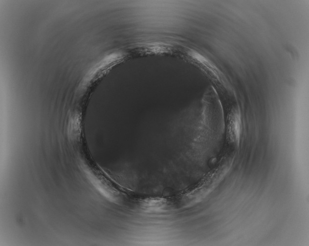 X0000115270410200911131812
