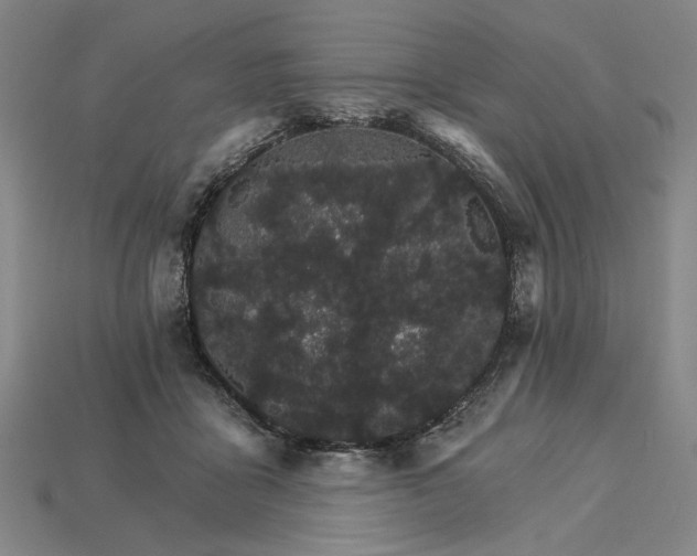 X0000115270411200911131812