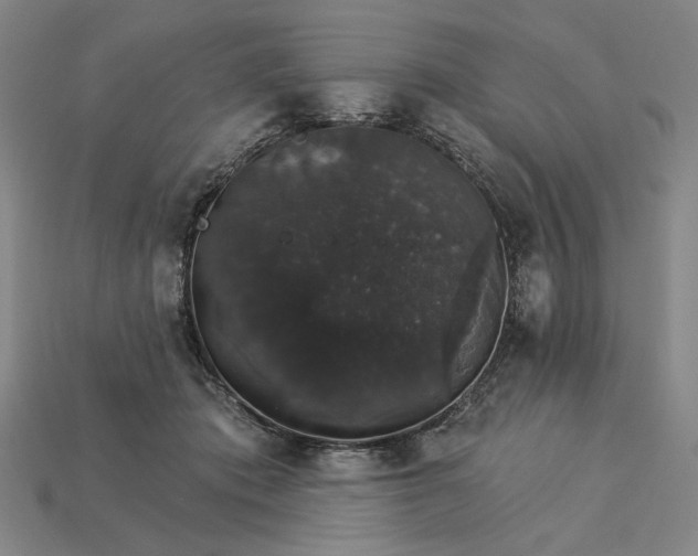 X0000115270413200911131812