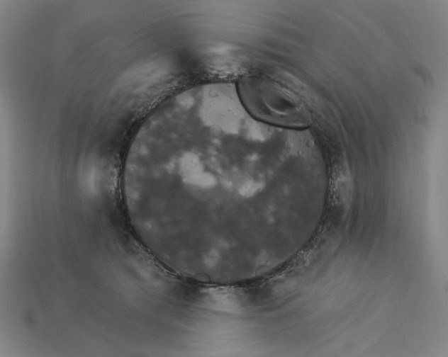 X0000115270417200911131812