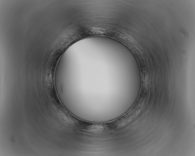 X0000115270418200911131812