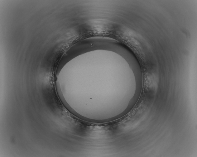 X0000115270419200911131812