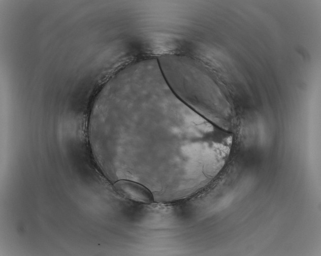 X0000115270421200911131812