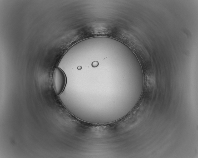 X0000115270422200911131812