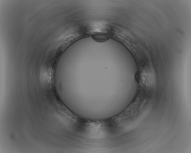 X0000115270423200911131812