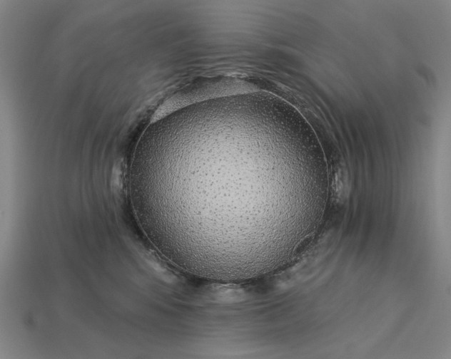 X0000115270424200911131812