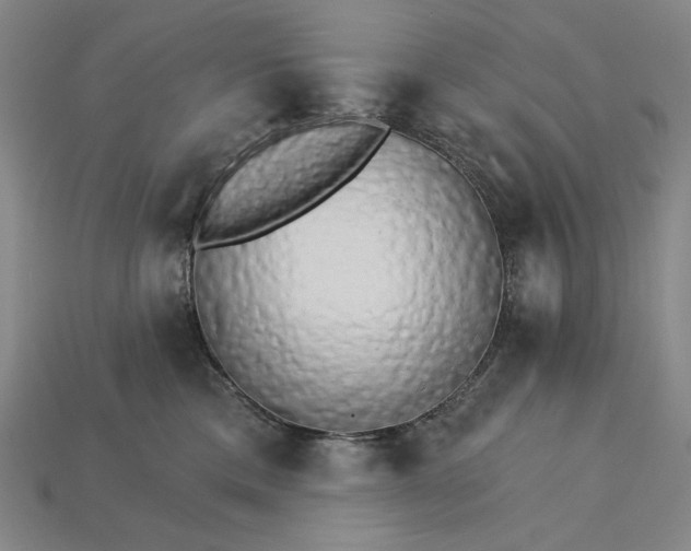 X0000115270425200911131812