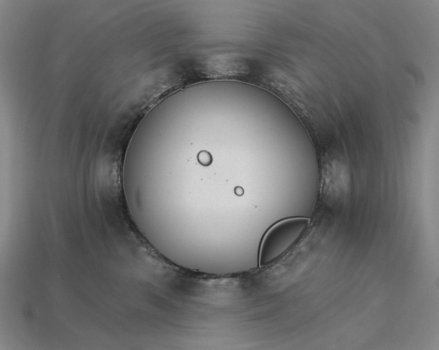 X0000115270426200911131812
