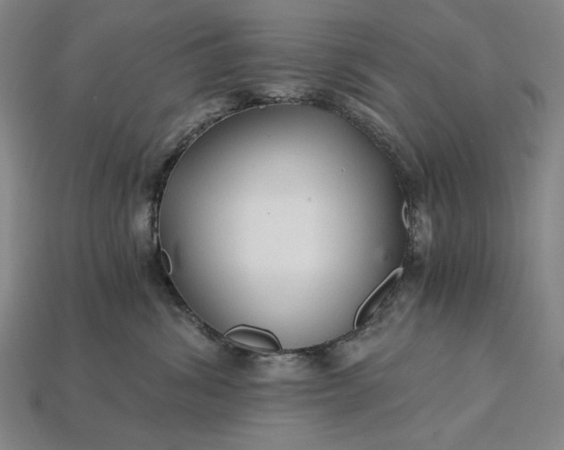 X0000115270428200911131812