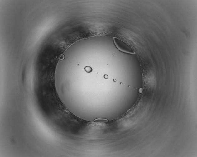 X0000115270429200911131812