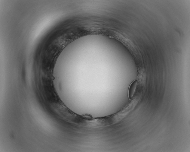 X0000115270430200911131812
