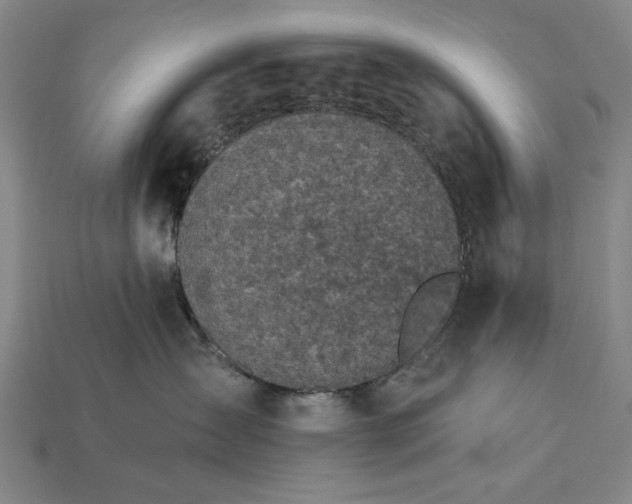 X0000115270431200911131812