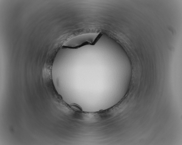 X0000115270432200911131811