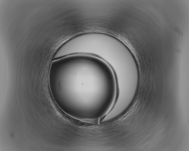 X0000115270433200911131811