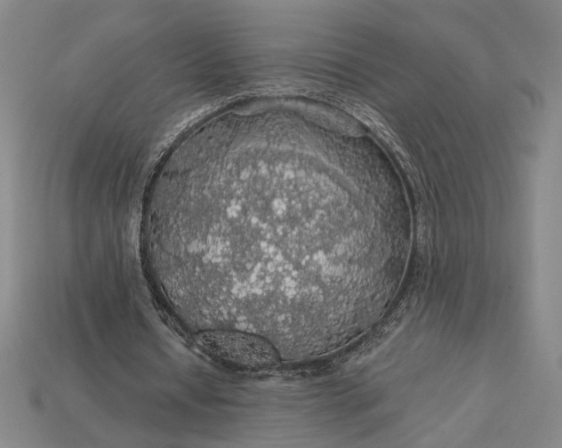 X0000115270434200911131811