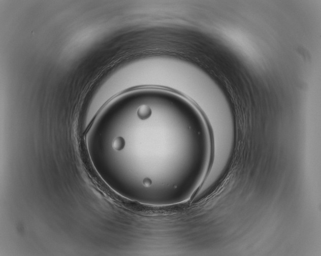 X0000115270435200911131811