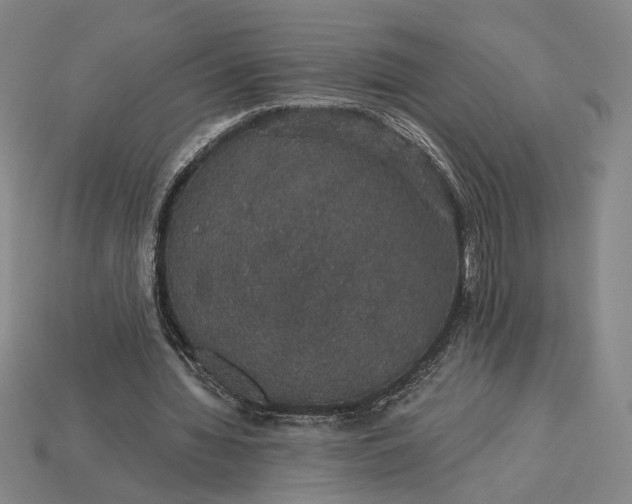 X0000115270436200911131811