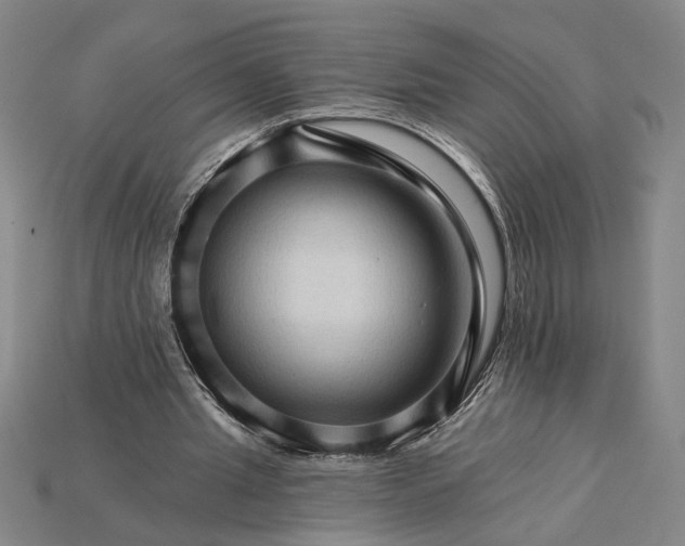 X0000115270437200911131811