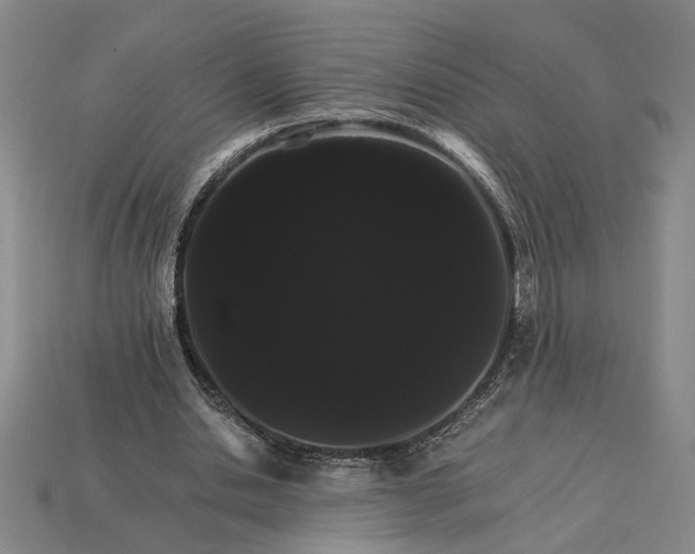 X0000115270438200911131811