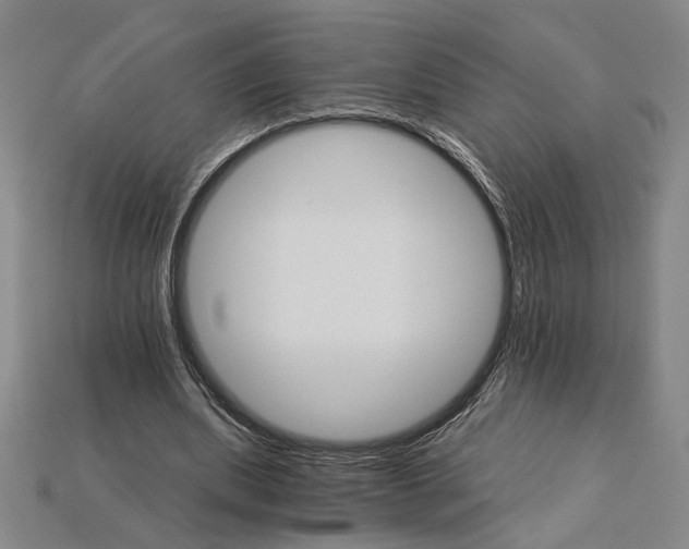 X0000115270439200911131811