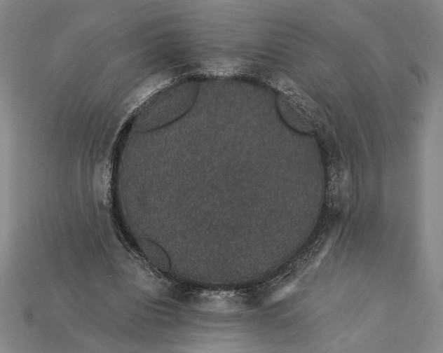 X0000115270440200911131811