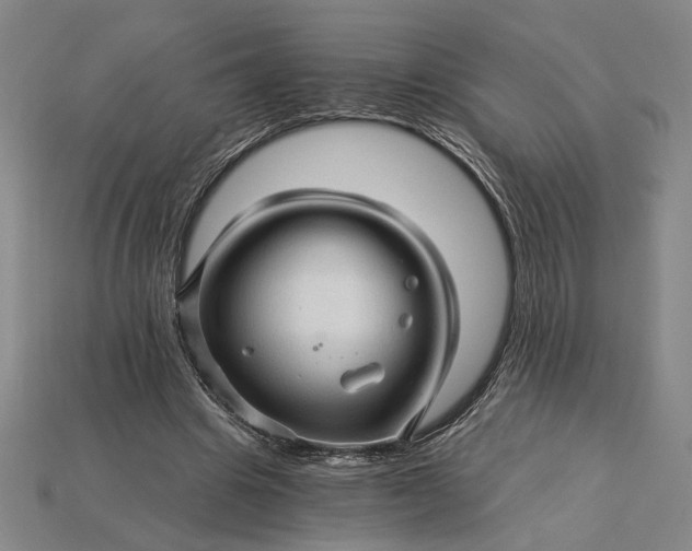 X0000115270441200911131811